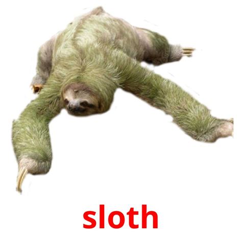 sloth tagalog